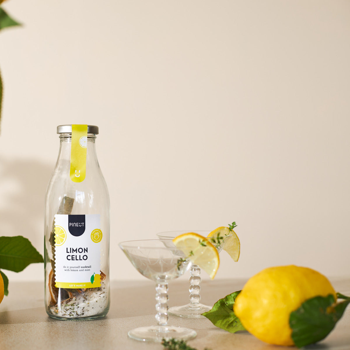 How to make Limoncello | DIY Cocktail in a bottle | BIO | Pineut