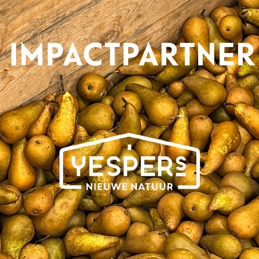 Impactpartner: Yespers. Van peer tot Watertwist