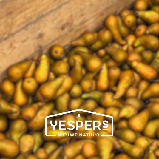 Impactpartner: Yespers. Van peer tot Watertwist