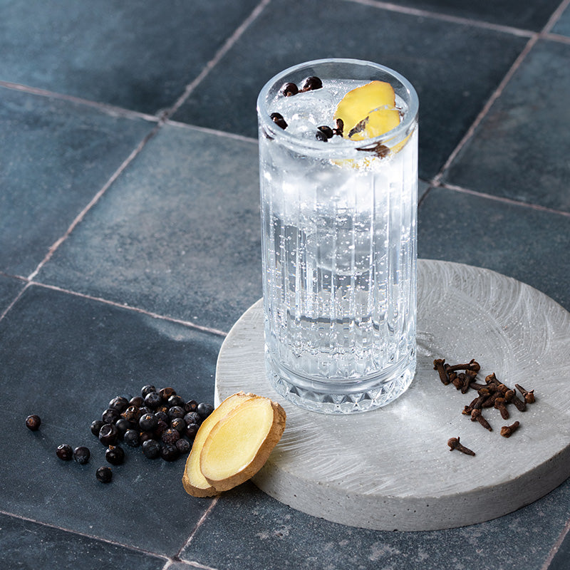 Botanicals Gin Flavour Collection Pack