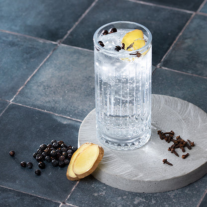 Botanicals Spiced Gin | 350ml | Snips