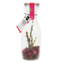 Watertwist | Carafe | Cranberry, Cherry & Rosemary BIO
