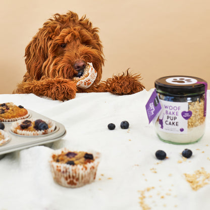 Wagging Kit | WoofBake | Gift Pack
