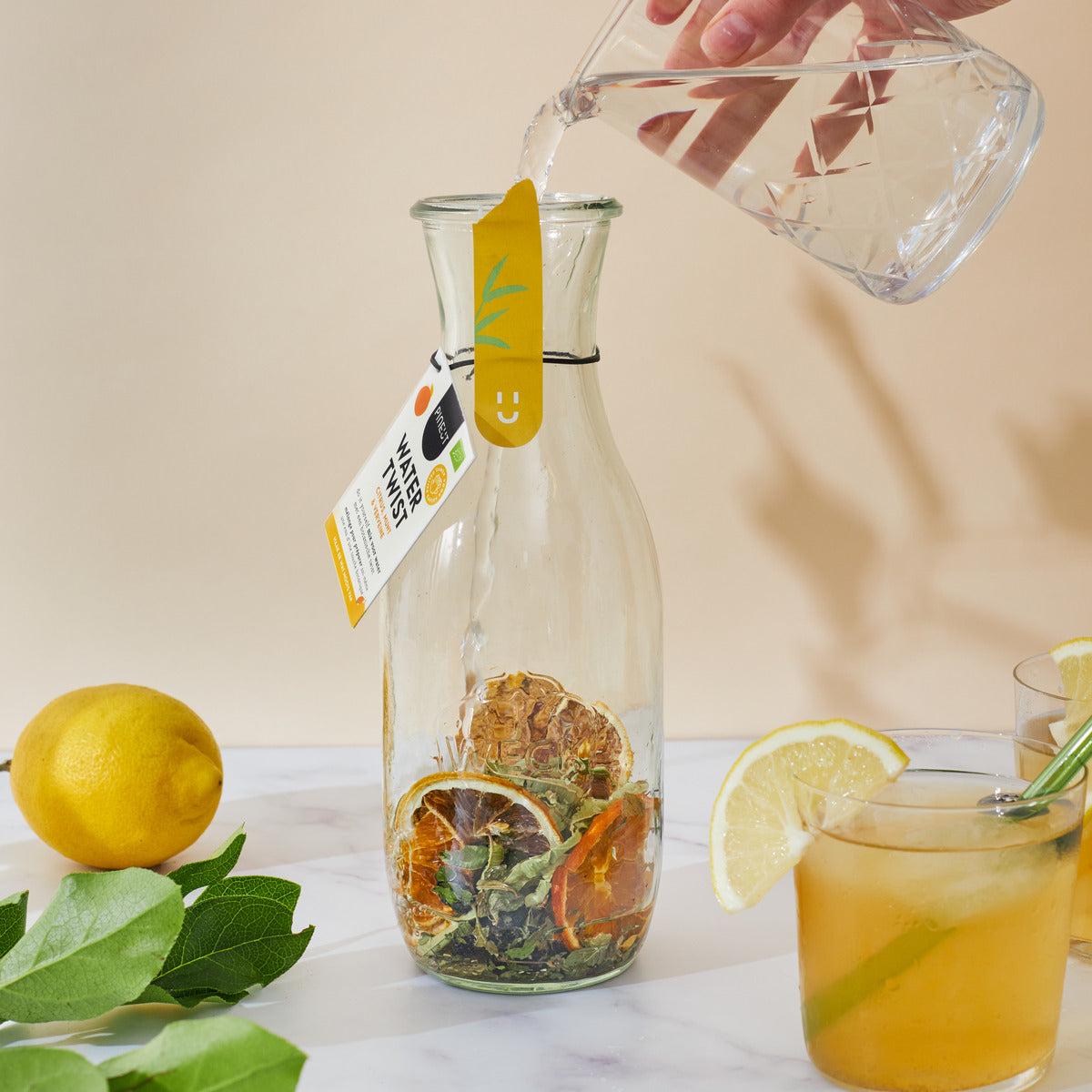 Watertwist | Citrus, Mint & Verbena | in carafe | BIO | Pineut