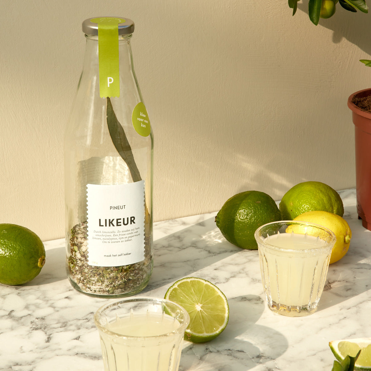 Lime Liqueur | Carafe | Ready for a Kiss | Pineut Limoncello