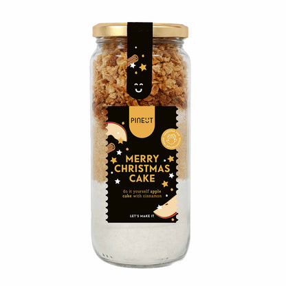 Holiday Special | Merry Christmas Cake