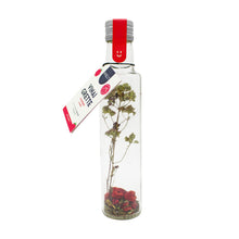 Vinaigrette | bottle | Raspberry, Pomegranate & Mint