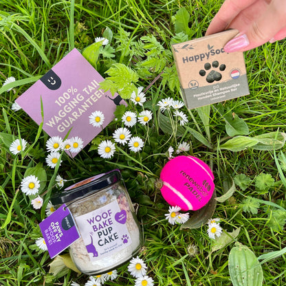 Wagging Kit | WoofBake | Gift Pack
