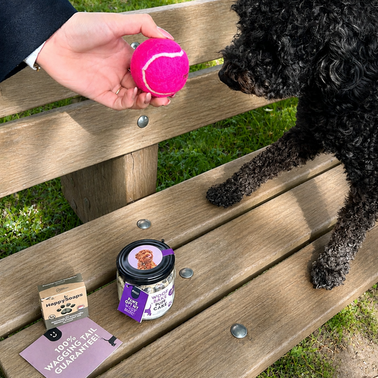 Wagging Kit | WoofBake | Gift Pack