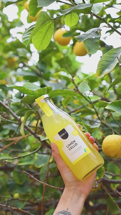 How to make Limoncello | DIY Cocktail in a bottle | BIO | Pineut