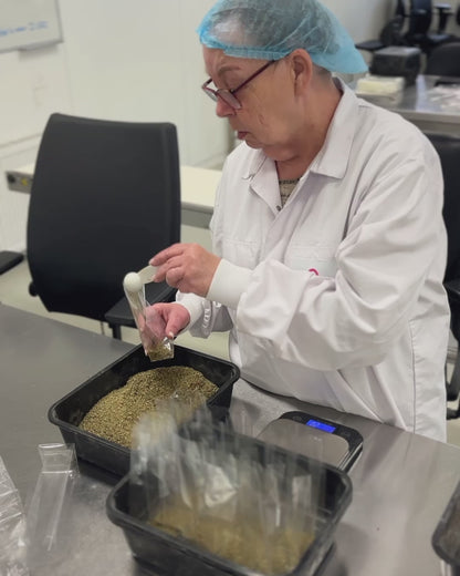 Risotto To Be | Oesterzwam-mix met kruiden | No Waste Army x Pineut