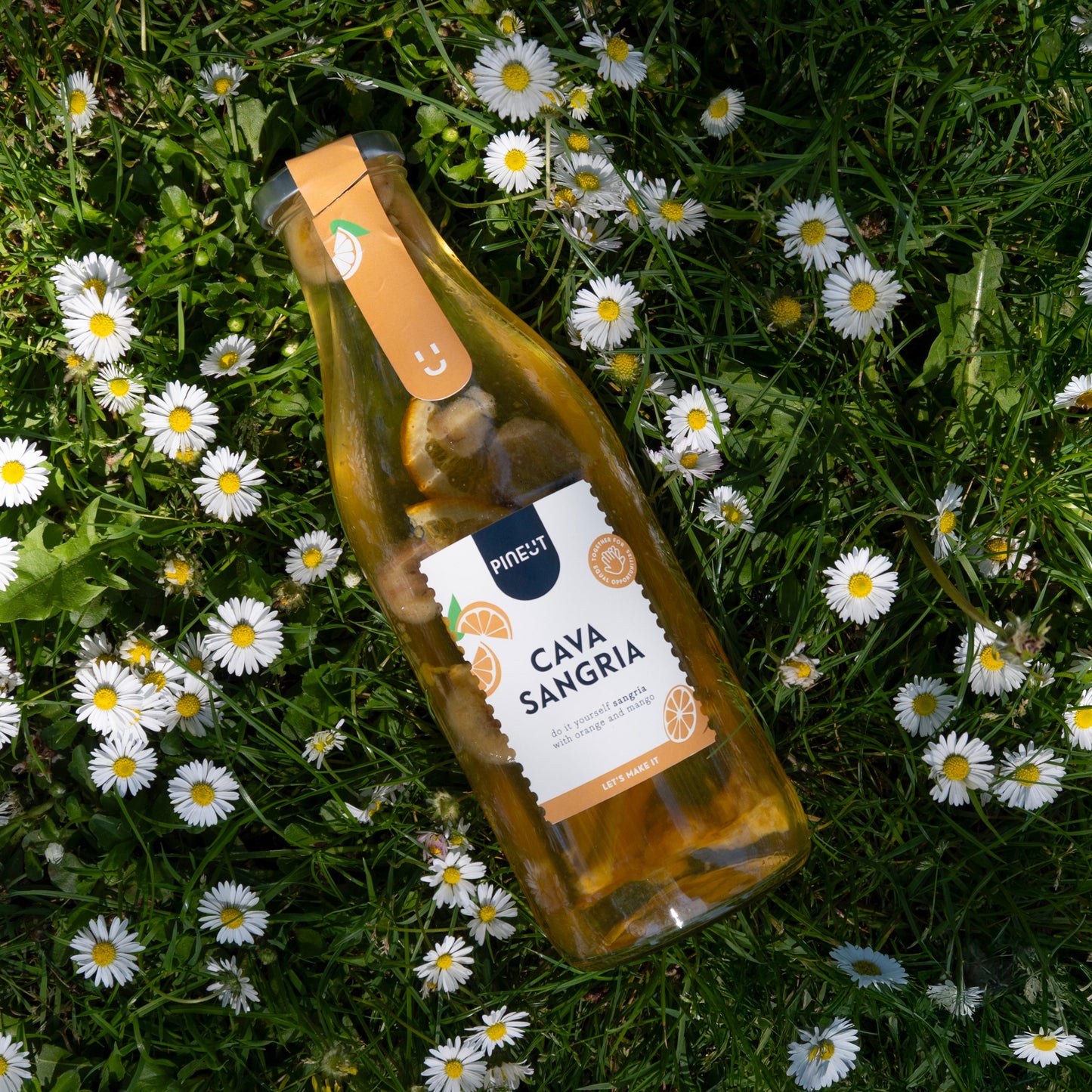 Cava Sangria | erfrischend & festlich | BIO