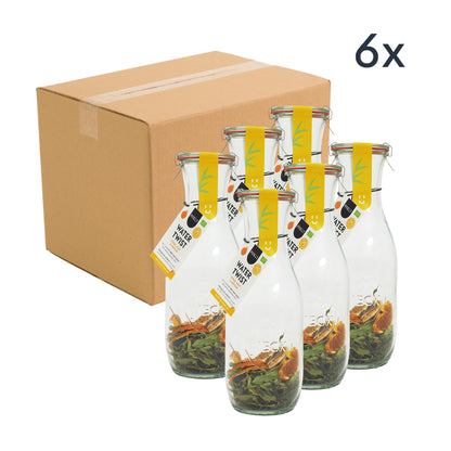 Watertwist | Citrus, Munt & Verveine | in karaf | BIO | Doos met 6 stuks
